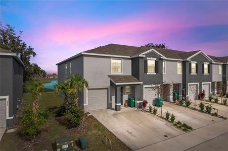 New construction Single-Family house 5310 Dragonfly Drive, Wildwood, FL 34785 - photo 0 0