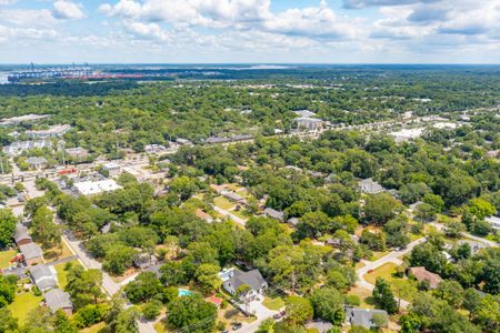 New construction Single-Family house 408 Palm Street, Mount Pleasant, SC 29464 - photo 83 83