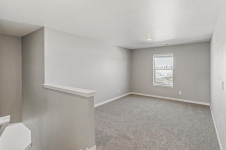 New construction Single-Family house 337 North 66Th Avenue, Greeley, CO 80634 - photo 17 17