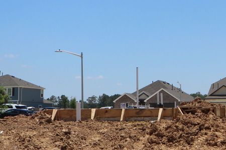 New construction Single-Family house 22494 Birchfield Grove Lane, New Caney, TX 77357 Freestone- photo 4 4