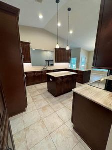 New construction Single-Family house 4095 Bryan Road, Land O' Lakes, FL 34639 - photo 25 25