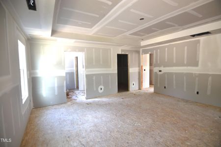 New construction Single-Family house 130 Spotted Bee Way, Louisburg, NC 27549 - photo 23 23