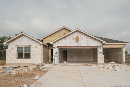 New construction Single-Family house 21081 Jordans Ranch Way, San Antonio, TX 78264 Pizarro- photo 11 11