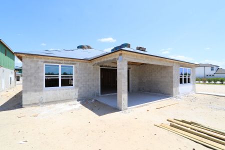 New construction Single-Family house 2496 Clary Sage Drive, Spring Hill, FL 34609 Corina  III- photo 30 30