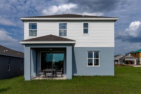 New construction Single-Family house 6813 Serpent Hawk Ln., Leesburg, FL 34748 Gilchrist- photo 30 30