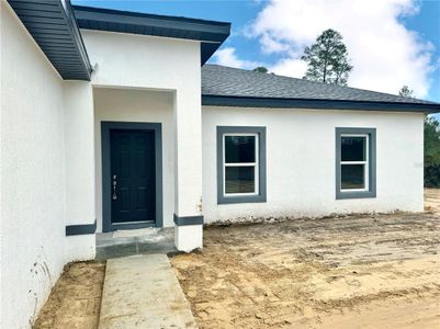 New construction Single-Family house 17467 Sw 36Th Avenue Road, Ocala, FL 34473 - photo