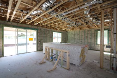 New construction Single-Family house 2852 Misty Marble Drive, Zephyrhills, FL 33540 Castellana- photo 71 71