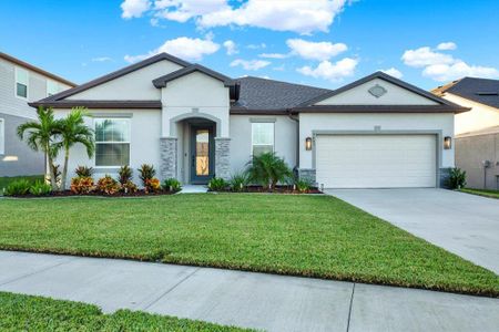 New construction Single-Family house 9483 Ibis Grove Boulevard, Wesley Chapel, FL 33545 - photo 0