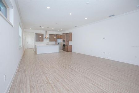 Massive Living space and kitchen
