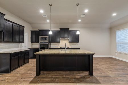 New construction Single-Family house 3688 Rolling Meadows Drive, Grand Prairie, TX 76065 - photo 81 81