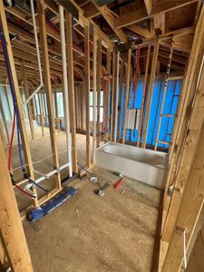 New construction Single-Family house 21518 Sand Fringepod Way, Cypress, TX 77433 Newton- photo 15 15