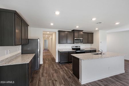 New construction Single-Family house 571 W Crowned Dove Trail, Casa Grande, AZ 85122 - photo 3 3