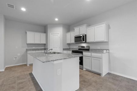 New construction Single-Family house 224 Running River Drive, Boyd, TX 76023 RENAE- photo 5 5