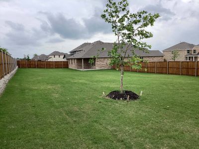 New construction Single-Family house 2312 Wheatgrass Way, Melissa, TX 75454 Crockett Homeplan- photo 24 24