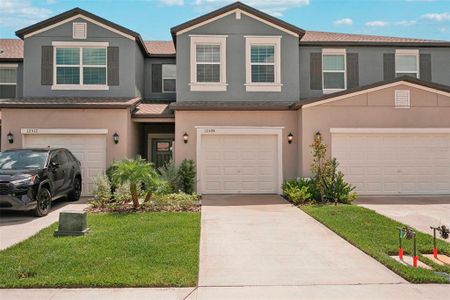 New construction Townhouse house 12508 Crystal Jade Way, Parrish, FL 34219 - photo 0