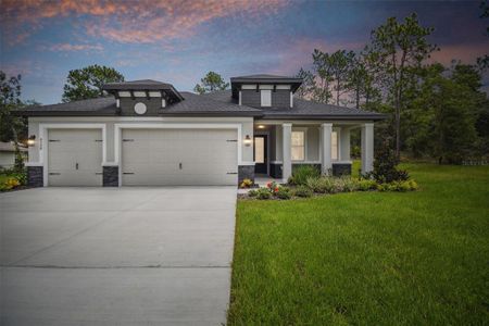 New construction Single-Family house 8238 Nuzum Road, Weeki Wachee, FL 34613 Pompei- photo 0