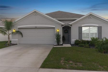 New construction Single-Family house 3364 Autumn Amber Drive, Spring Hill, FL 34609 - photo