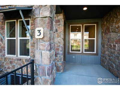 New construction Townhouse house 6237 Vernazza Way, Unit 3, Windsor, CO 80550 - photo 1 1