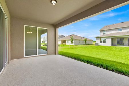 New construction Single-Family house 394 Switchgrass Loop, Clermont, FL 34715 Exbury Executive- photo 33 33