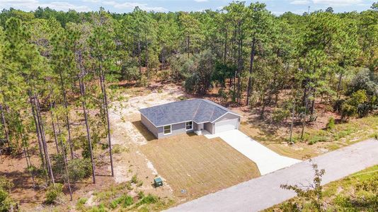 New construction Single-Family house 117 Nw Sparrow Road, Dunnellon, FL 34431 - photo 46 46