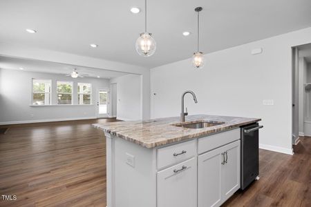 New construction Single-Family house 63 Golden Leaf Farms Road, Angier, NC 27501 Birch II A- photo 62 62