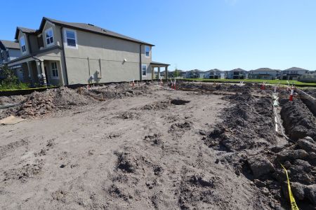 New construction Single-Family house 9476 Seagrass Port Pass, Wesley Chapel, FL 33545 Dali- photo 7 7