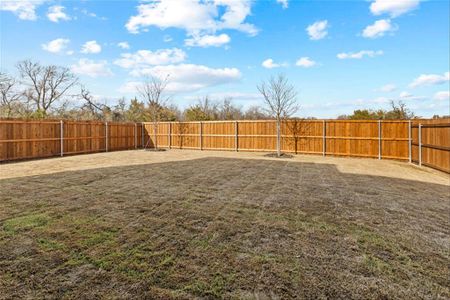 New construction Single-Family house 763 Gentle Bird Drive, Lavon, TX 75166 - photo 14 14