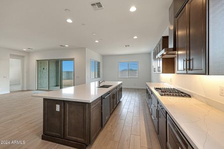 New construction Single-Family house 44822 N 44Th Avenue, Phoenix, AZ 85087 - photo 43 43