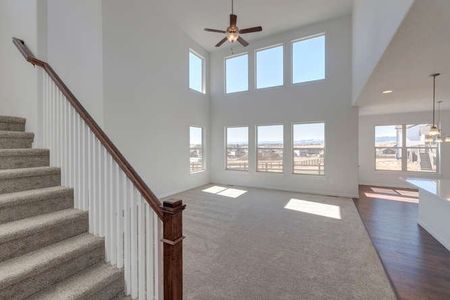 New construction Single-Family house 2128 Glean Court, Windsor, CO 80550 - photo 23 23