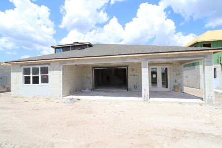 New construction Single-Family house 10609 New Morning Drive, Tampa, FL 33647 Corina  III Bonus- photo 32 32