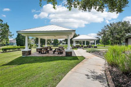 New construction Single-Family house 7187 Heron Walk Lane, Wesley Chapel, FL 33545 - photo 55 55