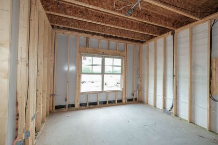 New construction Single-Family house 125 Calgary Drive, Floresville, TX 78114 Livingston- photo 24 24