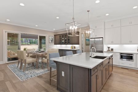 Enclave at Massey by Empire Communities in Fort Mill - photo 29 29