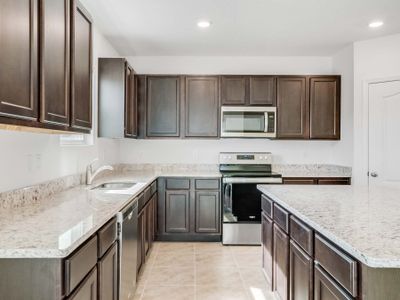 New construction Single-Family house 5297 Greenheart Avenue, Mount Dora, FL 32757 - photo 54 54