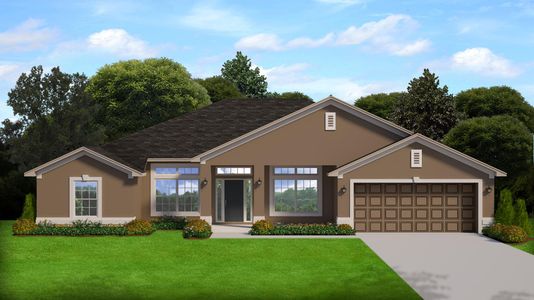 New construction Single-Family house 2169, 14152 Spring Hill Drive, Spring Hill, FL 34609 - photo