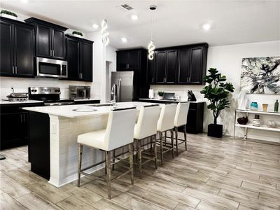 New construction Single-Family house 5307 Travertine Street, Mount Dora, FL 32757 - photo 2 2