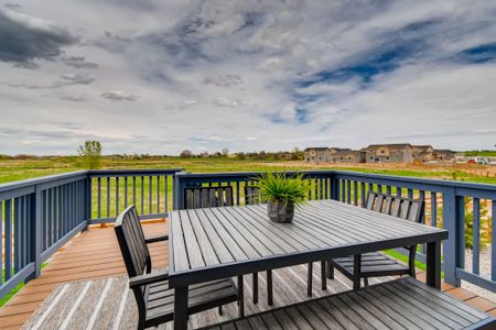 New construction Single-Family house 259 Marlowe Drive, Erie, CO 80516 - photo 34 34