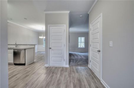 New construction Single-Family house 160 Elivia Way, Dallas, GA 30132 - photo 3 3