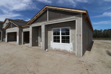 New construction Single-Family house 7783 Notched Pine Bend, Wesley Chapel, FL 33545 Corina II Bonus- photo 37 37