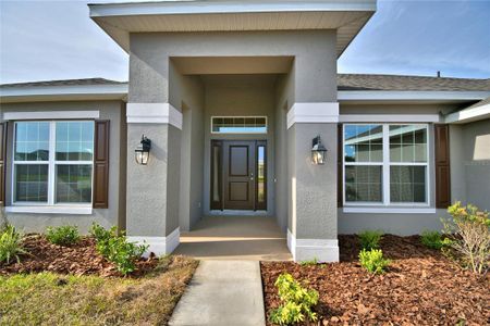 New construction Single-Family house 5479 Knights Landing Drive, Lakeland, FL 33810 2330- photo 2 2