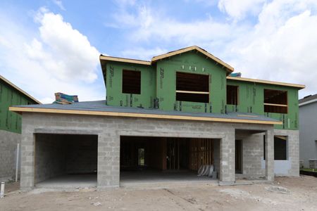 New construction Single-Family house 9635 Crescent Ray Drive, Wesley Chapel, FL 33545 Mira Lago- photo 16 16