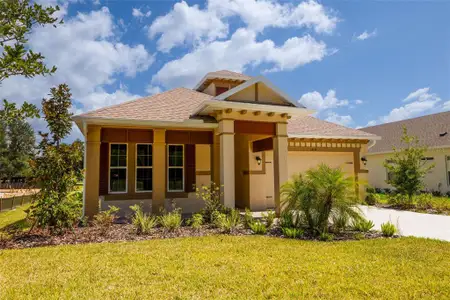 New construction Single-Family house 14174 Thoroughbred Drive, Dade City, FL 33525 - photo