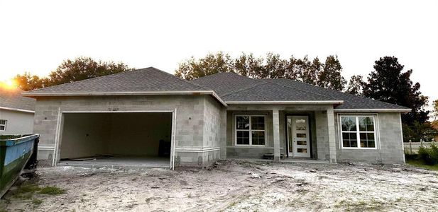 New construction Single-Family house 39 Fairmont Lane, Palm Coast, FL 32137 - photo 0 0