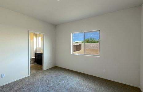 New construction Single-Family house 25173 West Chanute Pass, Buckeye, AZ 85326 - photo 10 10