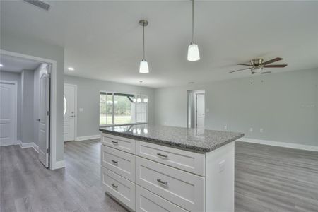 New construction Single-Family house 2197 W Swanson Drive, Citrus Springs, FL 34434 - photo 10 10