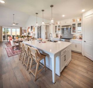 New construction Single-Family house 216 Alpine Lakes, New Braunfels, TX 78130 Windermere Plan- photo 3 3