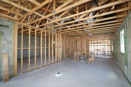 New construction Single-Family house 2885 Misty Marble Drive, Zephyrhills, FL 33540 Herrera- photo 33 33