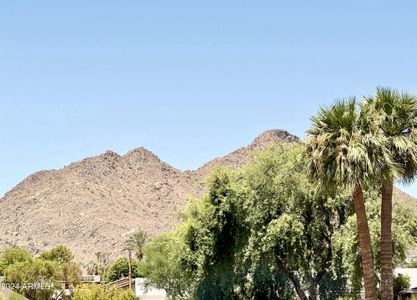 New construction Single-Family house 5041 N 69Th Place, Paradise Valley, AZ 85253 - photo 16 16