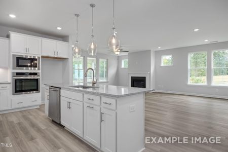 New construction Single-Family house 83 Golden Leaf Farms Road, Angier, NC 27501 The Magnolia A- photo 15