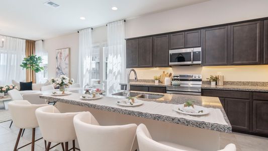 Willis Commons by Costa Verde Homes in Chandler - photo 24 24